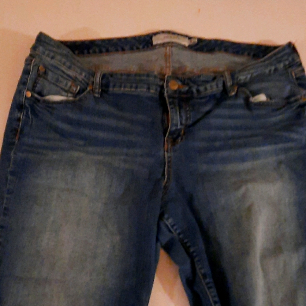 Torrid Jeans